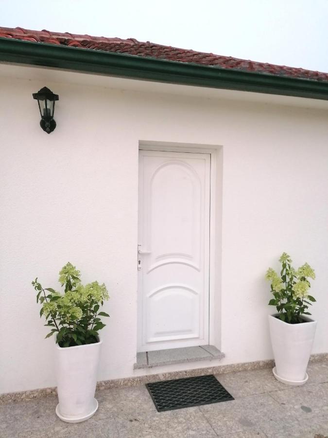 Casa Das Castanheiras Виейра до Миньо Екстериор снимка